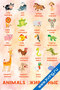 Животные II — плакат на английском языке, с переводом