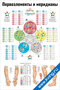 Меридианы и первоэлементы RUS/ENG — плакат по прикладной кинезиологии