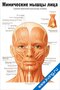 Мимические мышцы лица — медицинский плакат